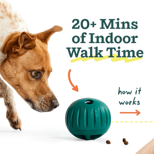 Woof Walkabout Dog Toy