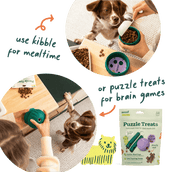 Woof Walkabout Dog Toy
