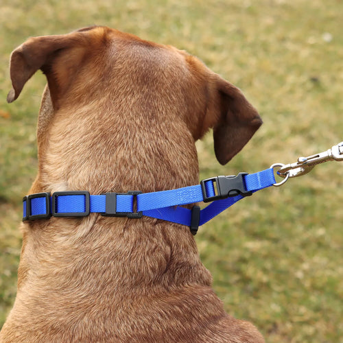 Coastal Pet Natural Control Training Collar - Additional Links