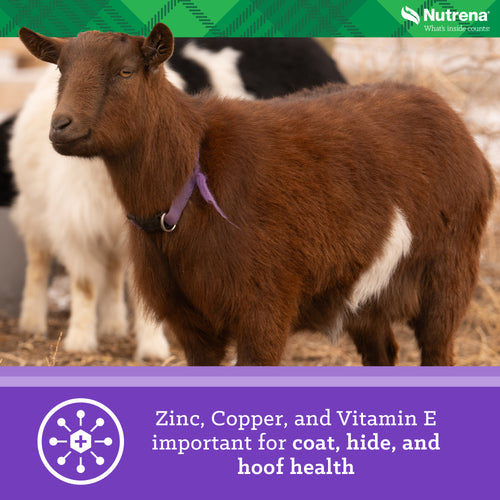 Nutrena® Goat Medley