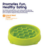 Outward Hound Kitty Slow Feeder Cat Bowl, Green, XS