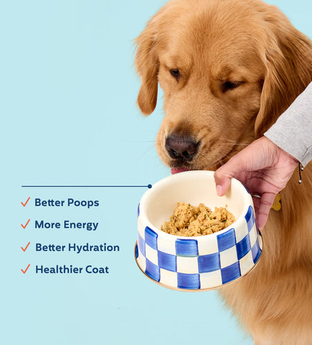 A Pup Above Chicken and Beef Boomer's Frozen Dog Food