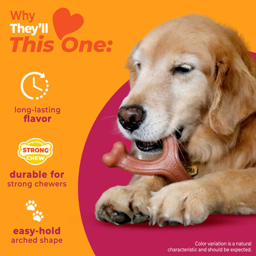Nylabone Strong Chew Wishbone Dog Chew Toy