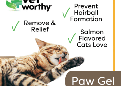 Vet Worthy Hairball Paw Gel for Cats