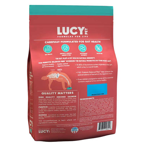 Lucy Pet Salmon, Pumpkin & Quinoa Dry Dog Food – Exclusive Gut Health Formula