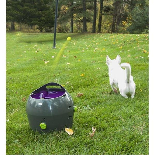 PetSafe Automatic Ball Launcher