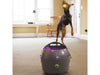 PetSafe Automatic Ball Launcher