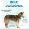 Lucy Pet Chicken, Brown Rice & Pumpkin Limited Ingredient Diet Formula Dog Food