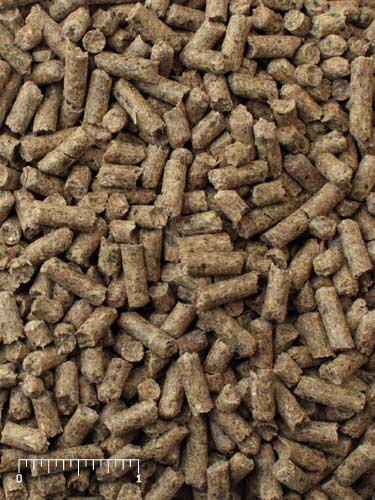 Mazuri mini pig pellets best sale