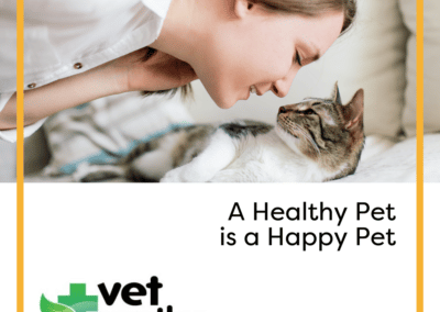 Vet Worthy Hairball Paw Gel for Cats