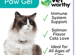 Vet Worthy L-Lysine Paw Gel for Cats (3 oz)