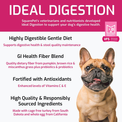 SquarePet® VFS® Ideal Digestion Dog Food