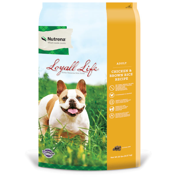 Nutrena Loyall Life Adult Chicken and Rice Recipe Glendale AZ Apache Junction AZ The Stock Shop Feed Pet