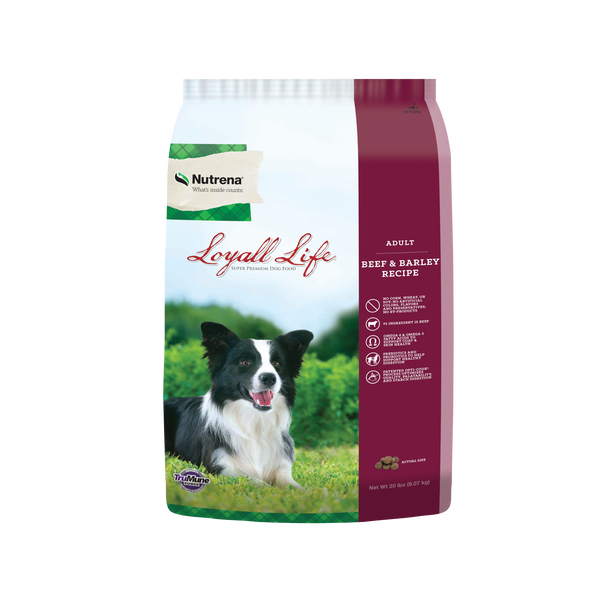 Nutrena all life stages dog food deals