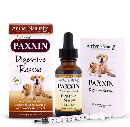 Herbal medicine for parvo in dogs best sale