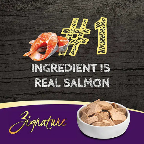 Zignature Limited Ingredient Salmon Formula Wet Dog Food