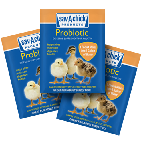 Sav-A-Chick® Probiotic Supplement