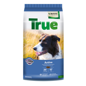 Active large shop dog food