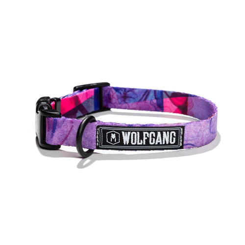 WOLFGANG MAN & BEAST DayDream DOG COLLAR