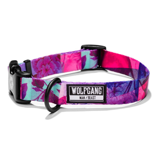 Wolfgang Man & Beast DayDream DOG COLLAR