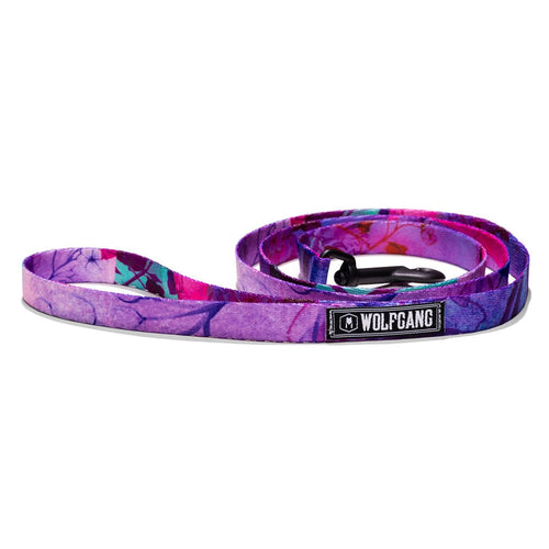 WOLFGANG MAN & BEAST DayDream DOG COLLAR