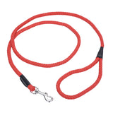 Coastal Pet Coastal Rope Dog Leash (1/2" X 6')