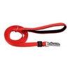 Coastal Pet Products Inspire Dog Leash