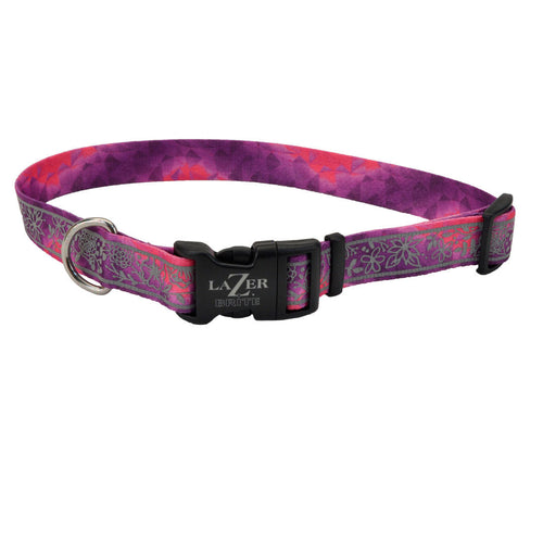 Coastal LazerBrite Patterned Collar